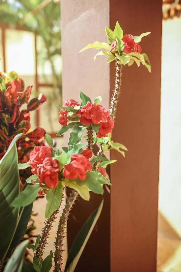 Casa Saab Aparthotel Playa del Carmen